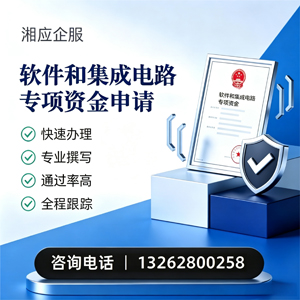 乌鲁木齐软件和集成电路专项资金申报服务