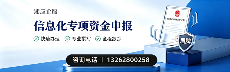 乌鲁木齐信息化专项资金申报服务