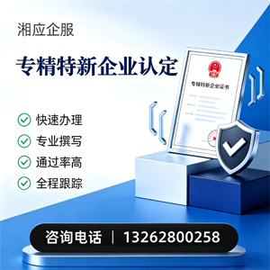 乌鲁木齐专精特新企业申报服务