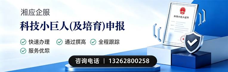 乌鲁木齐科技小巨人及培育企业申报服务