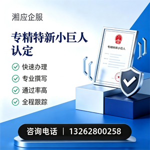 乌鲁木齐专精特新小巨人申报服务