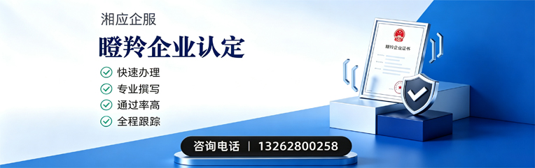 乌鲁木齐瞪羚企业认定申报服务