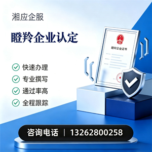 乌鲁木齐瞪羚企业认定申报服务