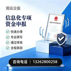 乌鲁木齐信息化专项资金申报服务