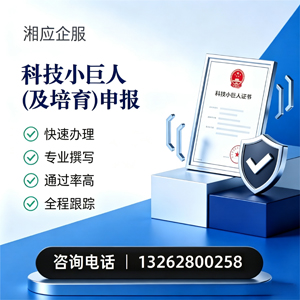 乌鲁木齐科技小巨人及培育企业申报服务