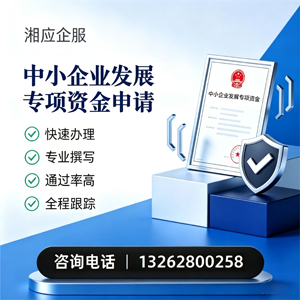 乌鲁木齐中小企业发展专项资金申报服务
