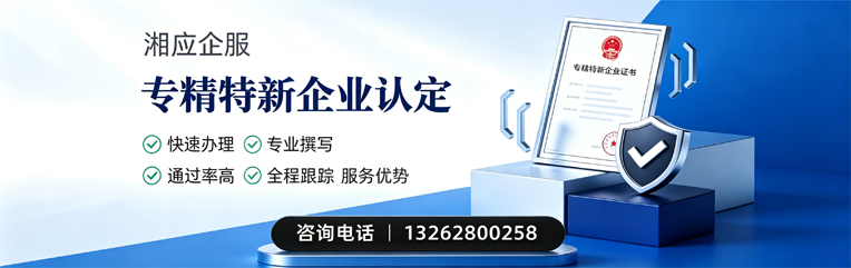 乌鲁木齐专精特新企业申报服务