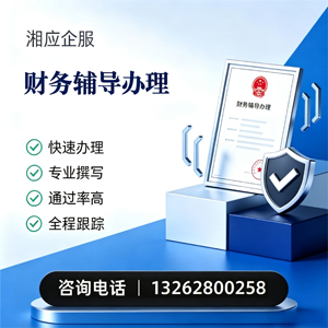 乌鲁木齐财务辅导申请服务
