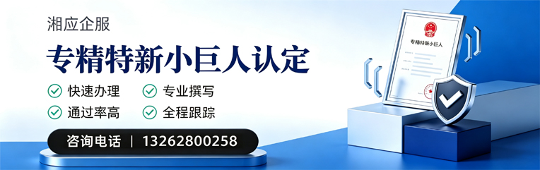 乌鲁木齐专精特新小巨人申报服务